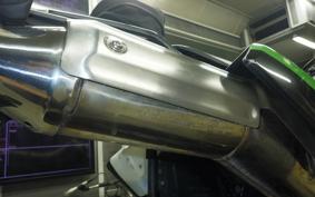 KAWASAKI KLX250D TRACKER X 2019 LX250V