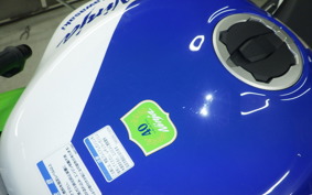 KAWASAKI NINJA ZX-6R A 2024 ZX636J