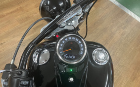 HARLEY FLSL 2020 YDJ