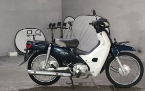 HONDA SUPER CUB110 JA10