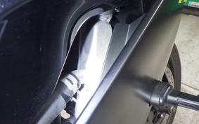 YAMAHA YZF R-3 2024 RH21J