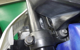 KAWASAKI KLX250D TRACKER X LX250V