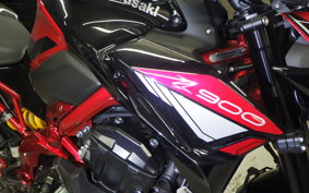 KAWASAKI Z900 2023 ZR900B