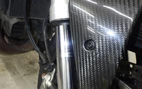 DUCATI MONSTER 821 2015