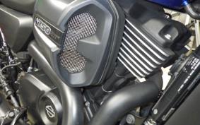 HARLEY XG750 STREET ROD 2020