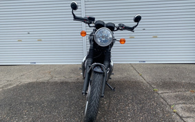 TRIUMPH BONNEVILLE T120 2024 DAD75H