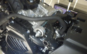 HONDA DUNK 2000 AF78
