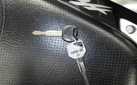HONDA HORNET 250 2021 MC31
