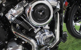 HARLEY FXBB 2025 YJ9