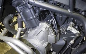 TRIUMPH TIGER 900 GT PRO 2020