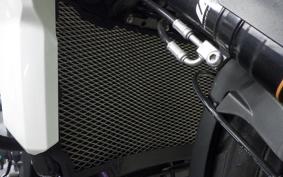 TRIUMPH TIGER EXPLORER 2019