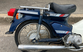 HONDA SUPER CUB50 C50