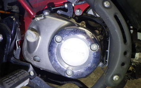 HONDA MONKEY 125 JB02