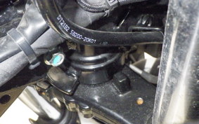 SUZUKI GSX250RA