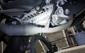 YAMAHA X FORCE SG79J