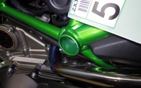 KAWASAKI NINJA H2 CARBON 2021 ZXT02J