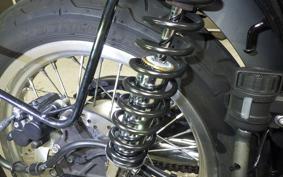 KAWASAKI W800 STREET 2020 EJ800B