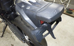 YAMAHA WR250X 2007 DG15J