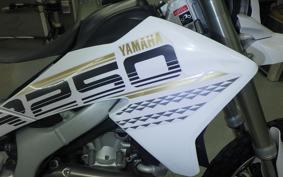 YAMAHA WR250R DG15J