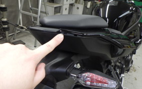 BMW S1000R 2025