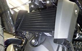 BMW R12 2024