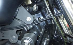HARLEY XL883N 2015