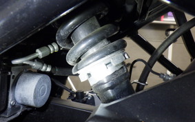 YAMAHA FZ25 1995