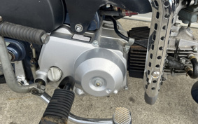 HONDA SUPER CUB50 C50