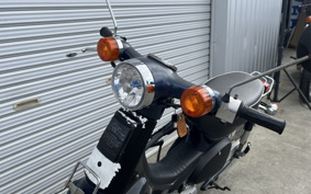 HONDA SUPER CUB50 C50