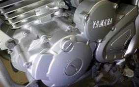 YAMAHA TRICKER Gen.2 2022 DG16J