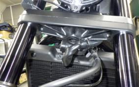 HONDA REBEL 1100 DCT 2024 SC83