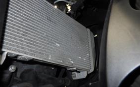 YAMAHA YZF-R25 A 2008 RG43J