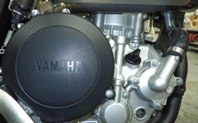 YAMAHA WR250X 2025 DG15J