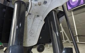 YAMAHA WR250X 1999 DG15J