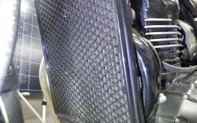 TRIUMPH SCRAMBLER 400X 2024