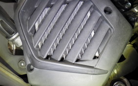 HONDA TACT Basket AF79