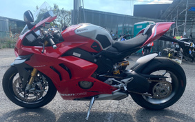 DUCATI PANIGA-REV4R 2019