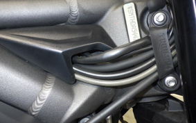 TRIUMPH STREET TRIPLE R 2021