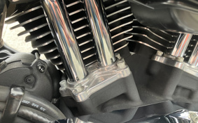 HARLEY XL1200L 2010 CX3