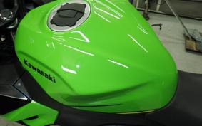 KAWASAKI NINJA 400 2019 EX400G