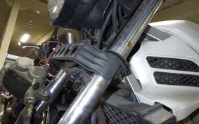 SUZUKI GF250 GJ71C
