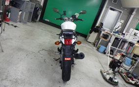 HONDA VTR 250 Gen. 2 1995 MC33
