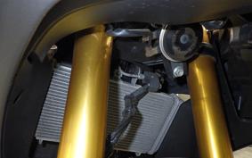 YAMAHA YZF R-3 2021 RH13J