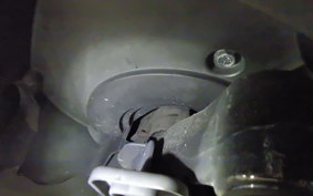 SUZUKI SWISH 125 2008 DV12B