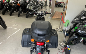 TRIUMPH BONNEVILLE T120 2024 DAD75H