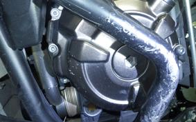YAMAHA TENERE 700 2020 DM09J