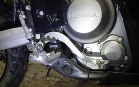HONDA CRF250 RALLY A 2009 MD44