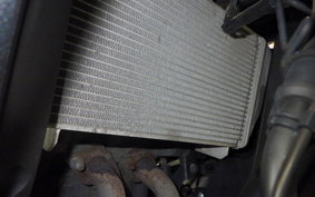 YAMAHA YZF R-3 2021 RH13J