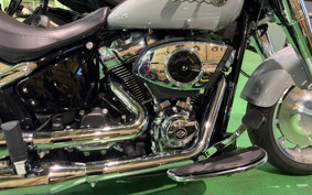 HARLEY FLFB 2025 YF9