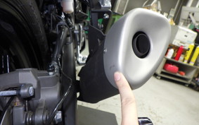 YAMAHA YZF R-3 2025 RH25J